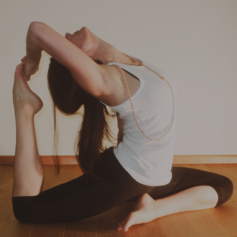 YOGAWERK-Ivi-Artenschutz-Taube-1